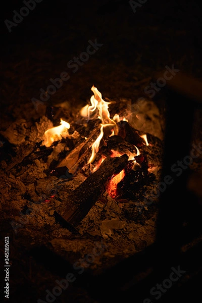 Obraz fire in fireplace