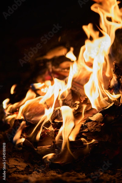 Obraz fire in the fireplace