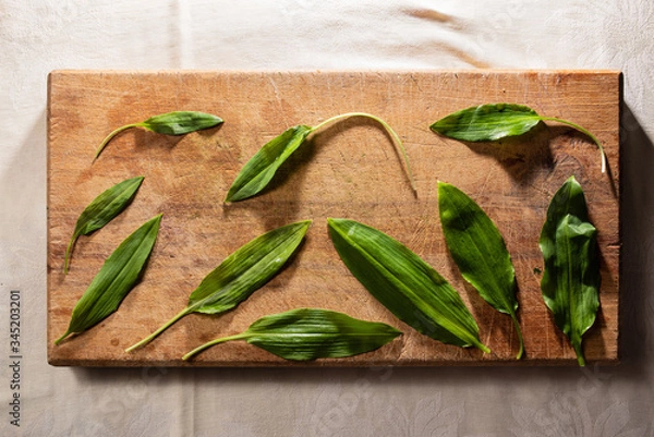 Obraz wild garlic or ramson on wooden cutting board, top view