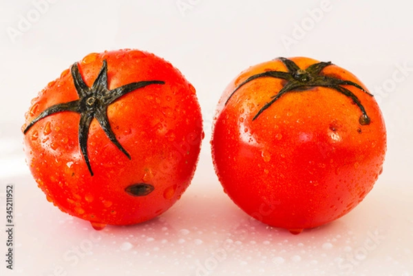 Fototapeta Fresh organic tomatoes with dew drops isolated on white background