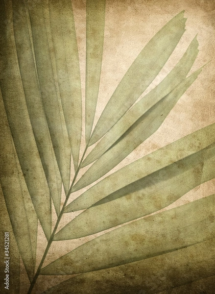 Obraz grunge background with leaf pattern