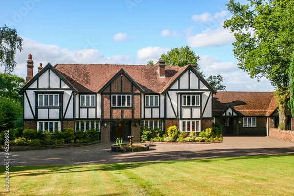 Obraz Tudor House