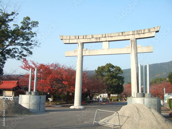 Fototapeta 神社　鳥居