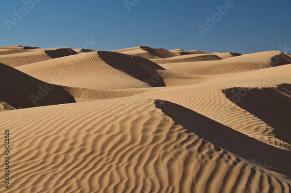 Obraz Dunes du Sahara
