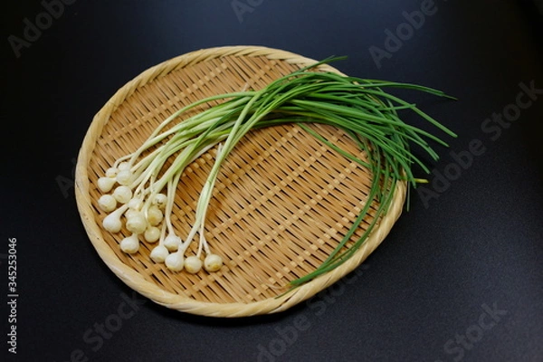 Obraz 山採りの天然山菜、野蒜