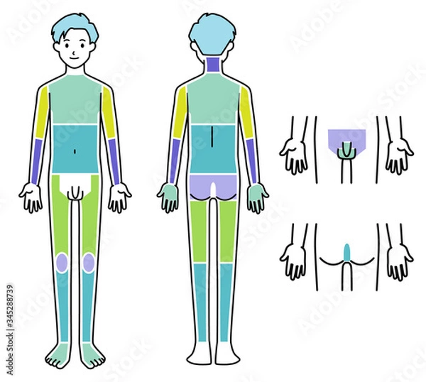 Fototapeta 男性 脱毛箇所 体