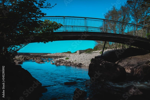 Obraz bridge over the river
