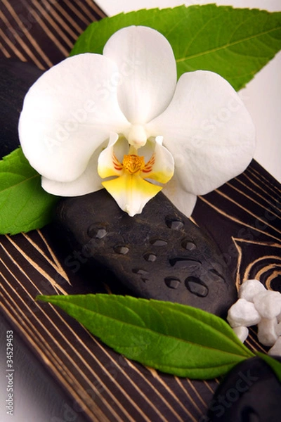 Obraz Wellness/Kosmetik