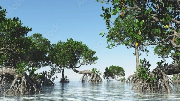 Obraz Red mangroves on Florida coast 3d rendering