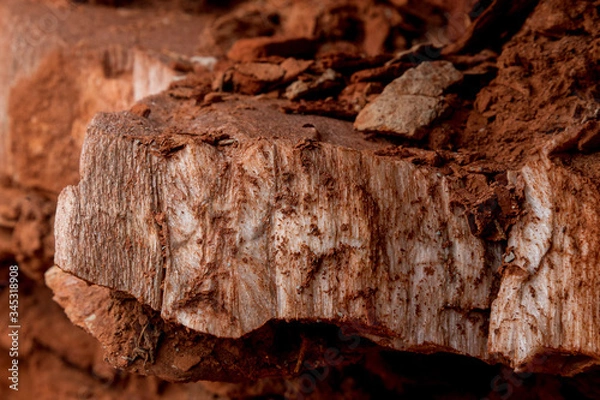 Fototapeta Caprock Canyon State Park