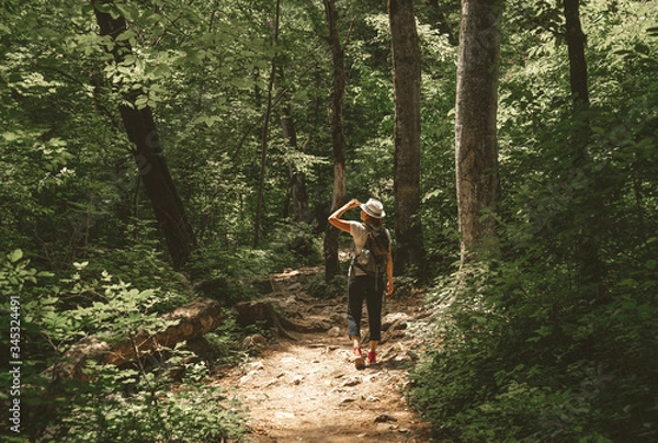 Fototapeta woman walks in the summer forest with a backpack and a hat. Stands and looks at the opening of sunlight.