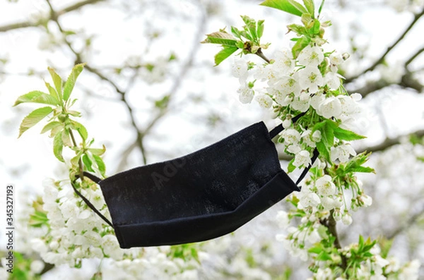 Fototapeta Protective medical mask on the blooming branch.  The concept of spring is in quarantine.
