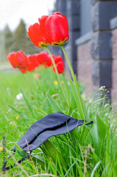 Fototapeta Medical mask lying on the flowers. Concept of ending the quarantine and isolation from the flu virus