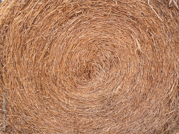Obraz Bale of straw texture background