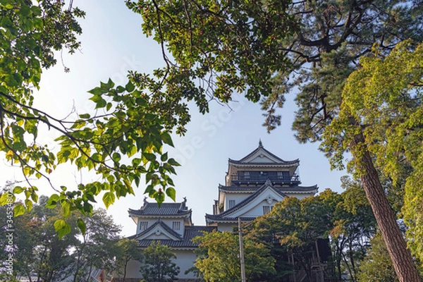 Fototapeta 岡崎城 天守閣