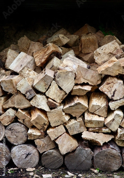 Obraz stack of firewood.