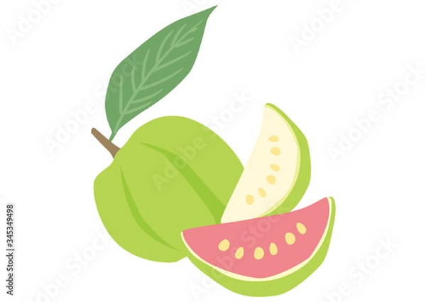 Obraz トロピカルフルーツ　グァバ