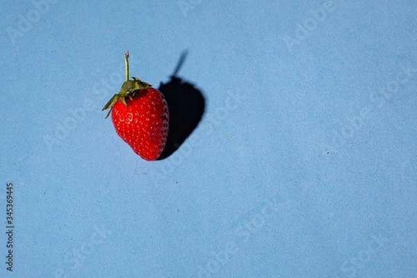 Obraz red strawberry on a blue background