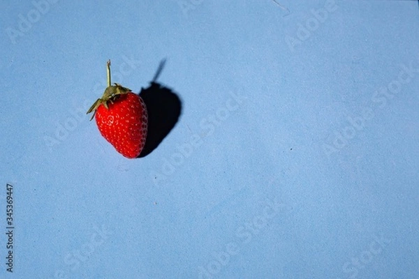 Obraz red strawberry on a blue background