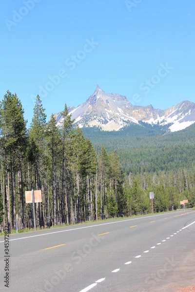 Fototapeta Mt Rainier