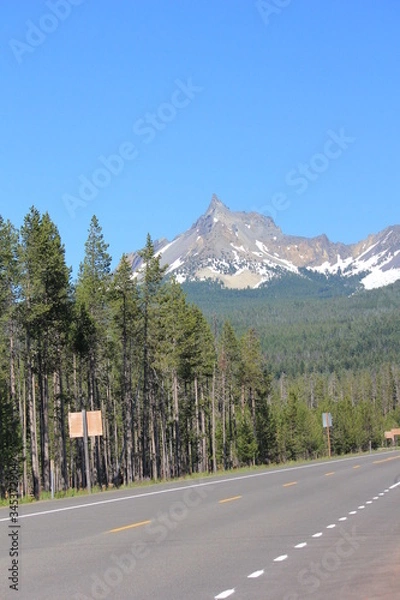 Fototapeta Mt Rainier