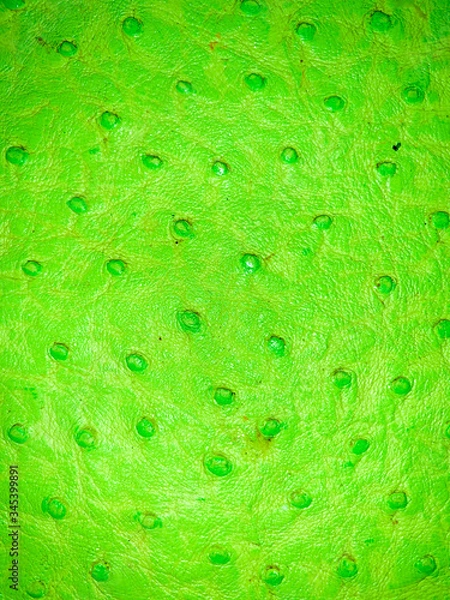 Fototapeta abstract green background texture