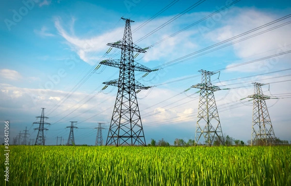 Fototapeta High voltage lines and power pylons in a flat and green agricultural landscape on a sunny day with clouds in the blue sky. Cloudy and rainy. Wheat is growing