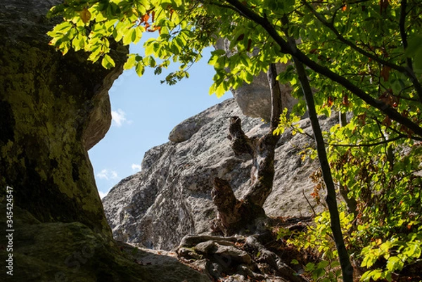 Fototapeta Clearance between the rocks at Belintash - an ancient Thracian megalith sanctuary.