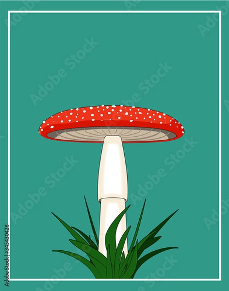 Obraz mushroom