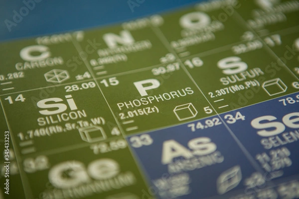 Obraz Phosphorus on the periodic table of elements