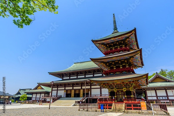 Fototapeta 成田山新勝寺大本堂と三重塔