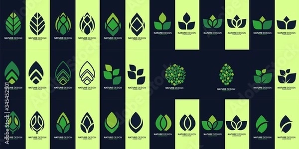 Fototapeta Set of Leaf logo design
