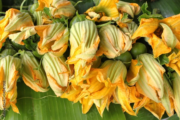 Obraz Pumpkin flowers