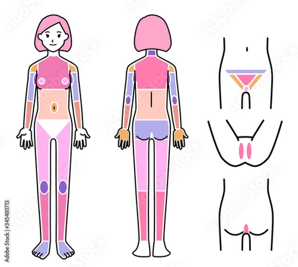 Obraz 女性 脱毛箇所 体