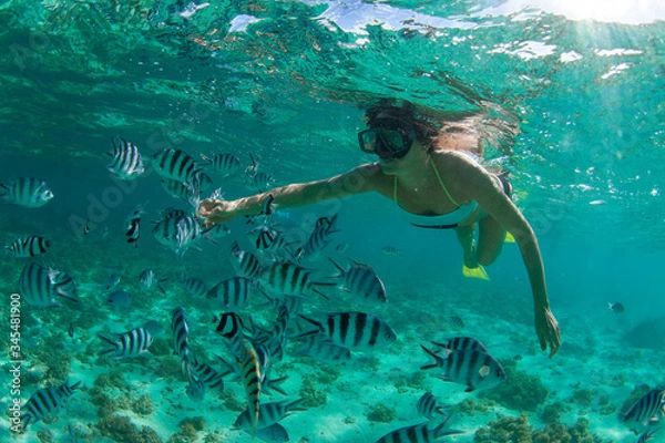 Obraz Snorkeling in Mauritius
