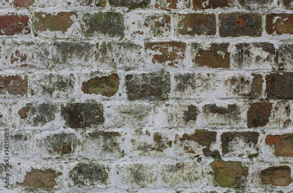 Fototapeta old brick wall