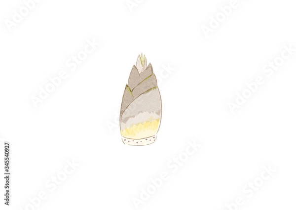 Fototapeta 竹の子