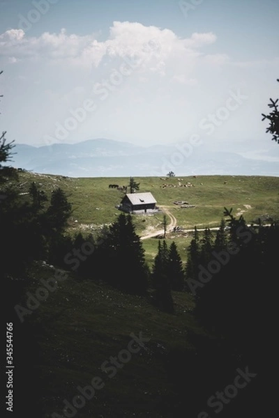 Obraz cabin in the woods