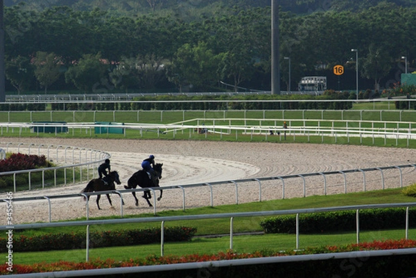Fototapeta horse practicing in the race course