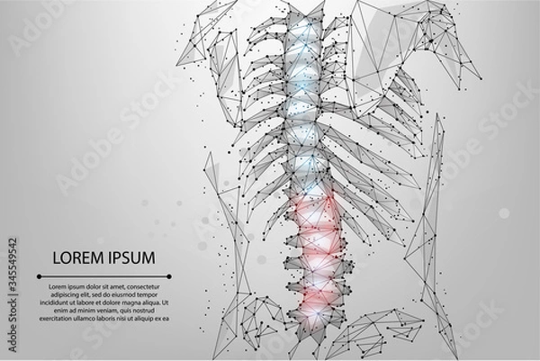 Fototapeta Abstract mesh line and dot physiotherapy human spine. Low poly Pain area surgery operation. Polygonal render female back hernia vector illustration