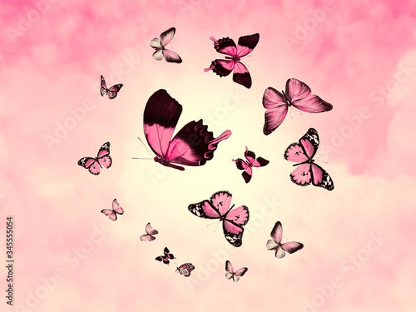 Fototapeta Color sky with clouds and butterflies as background