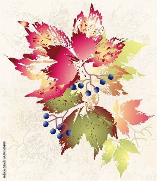 Fototapeta Illustration wild grapes. Autumnal background.