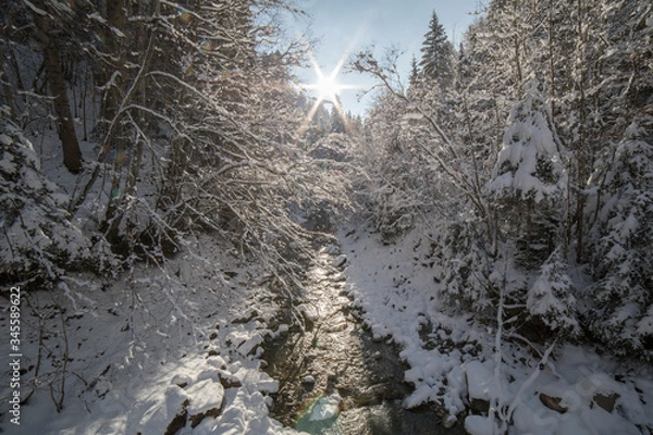 Obraz Trême by winter