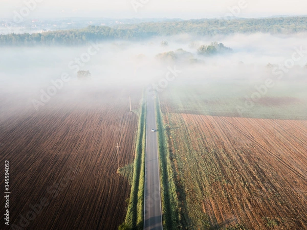 Fototapeta through the fog