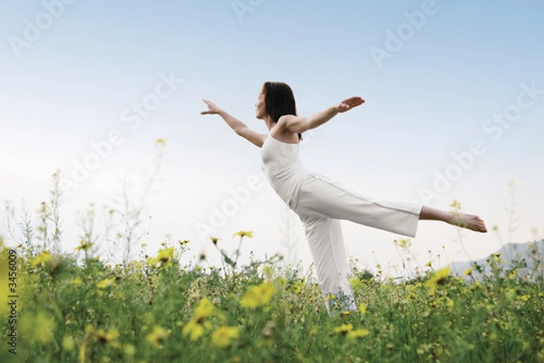 Obraz naturalna równowaga