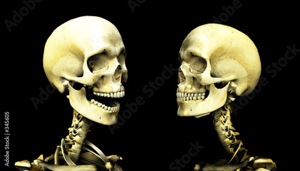 Obraz bone conversation 4