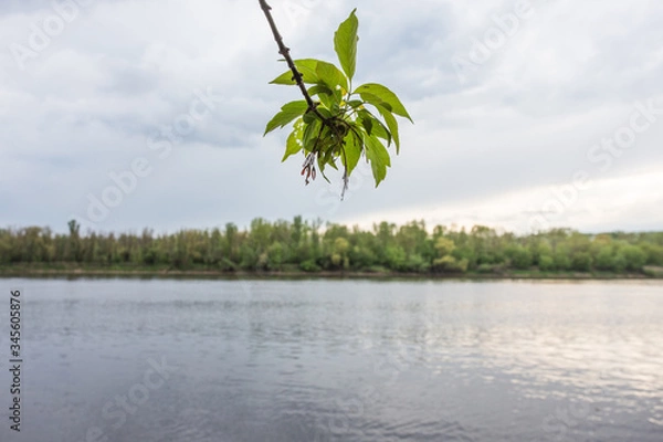 Obraz Vistula river bank