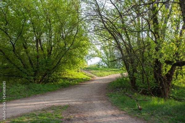 Obraz path in the park