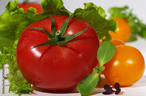 Obraz Pink tomato lies among yellow cherry tomatoes, lettuce leaves and microgreen. Close-up. Light gray background. Selective focus.