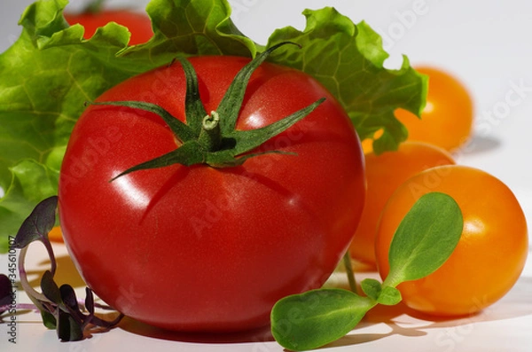 Fototapeta Pink tomato lies among yellow cherry tomatoes, lettuce leaves and microgreen. Close-up. Light gray background. Selective focus.